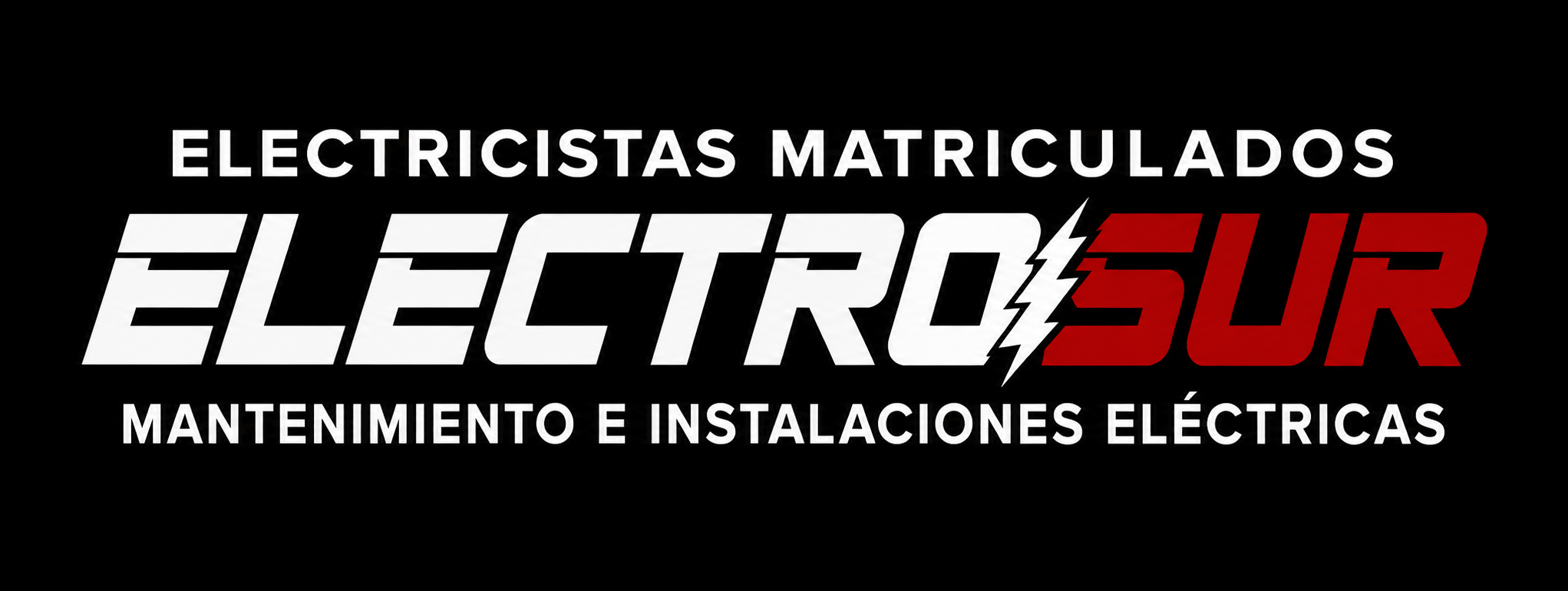 Electro Sur — Electricistas matriculados